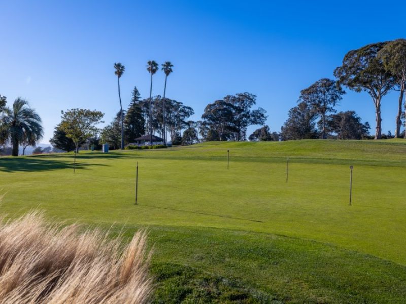 Putting Green